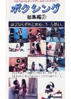 Valkyrie Original Cat Fight Boxing Summary Version 2 jacket