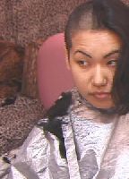 The Bobbed Hair Series jacket