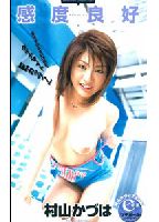 Ideal Sensitivity jacket