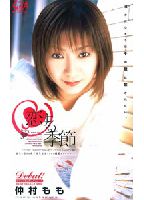 The Season for Love jacket