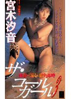 Call Girl 3: When Proper Ladies Turn into Lewd Nymphs jacket