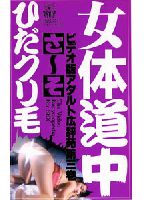 Traveller's Guide to a Woman's Body jacket