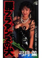 Hula Dance Dog jacket