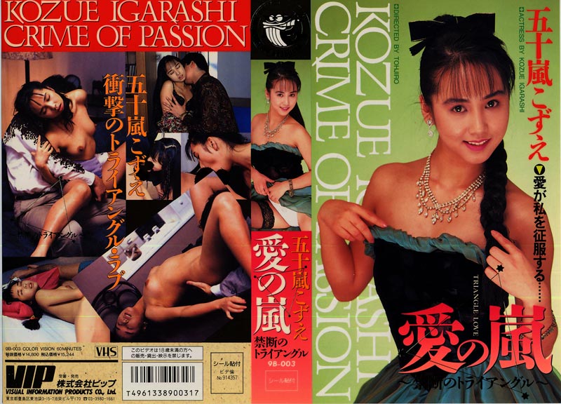 Storm of Love: Forbidden Triangle jacket