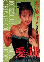 Storm of Love: Forbidden Triangle jacket