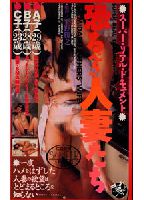 On-Location Documentary: Fearsome Housewives jacket