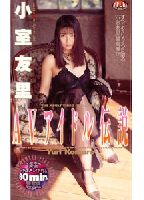 Porn Idol Legend jacket