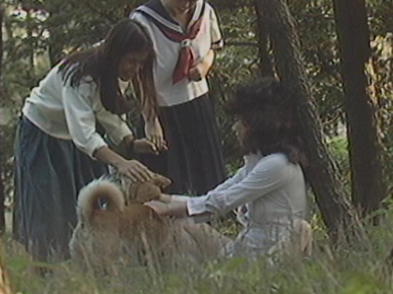 Animal petNo.1 jacket